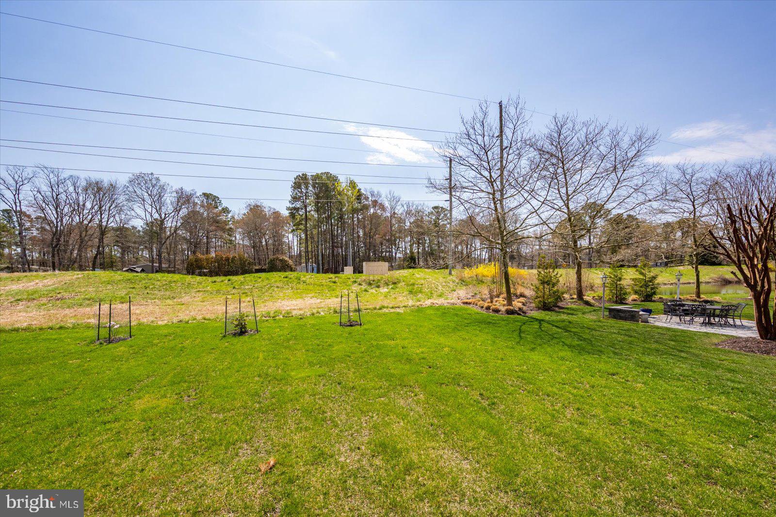 BEAR TRAP - Residential