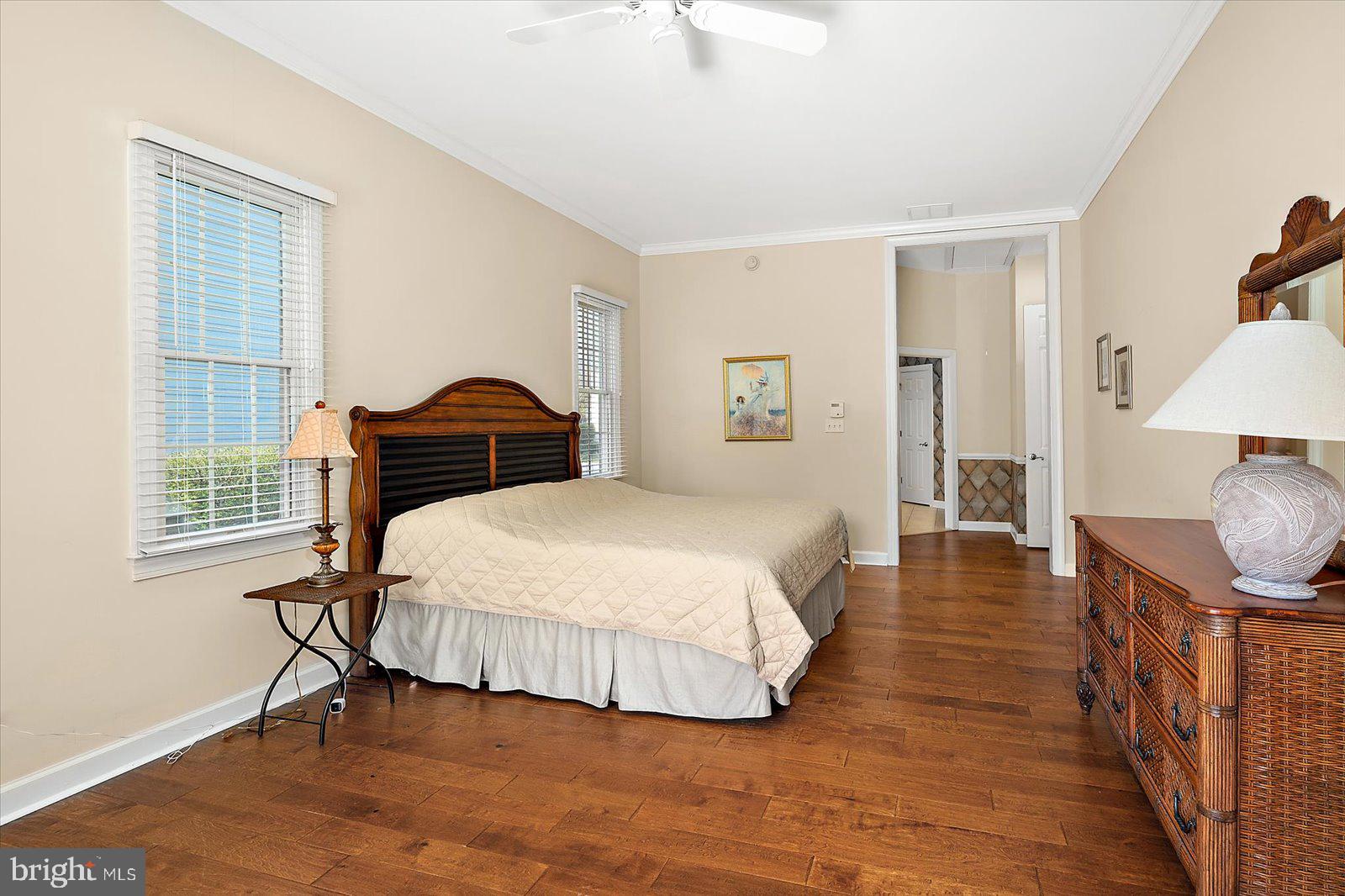 BEAR TRAP - Residential