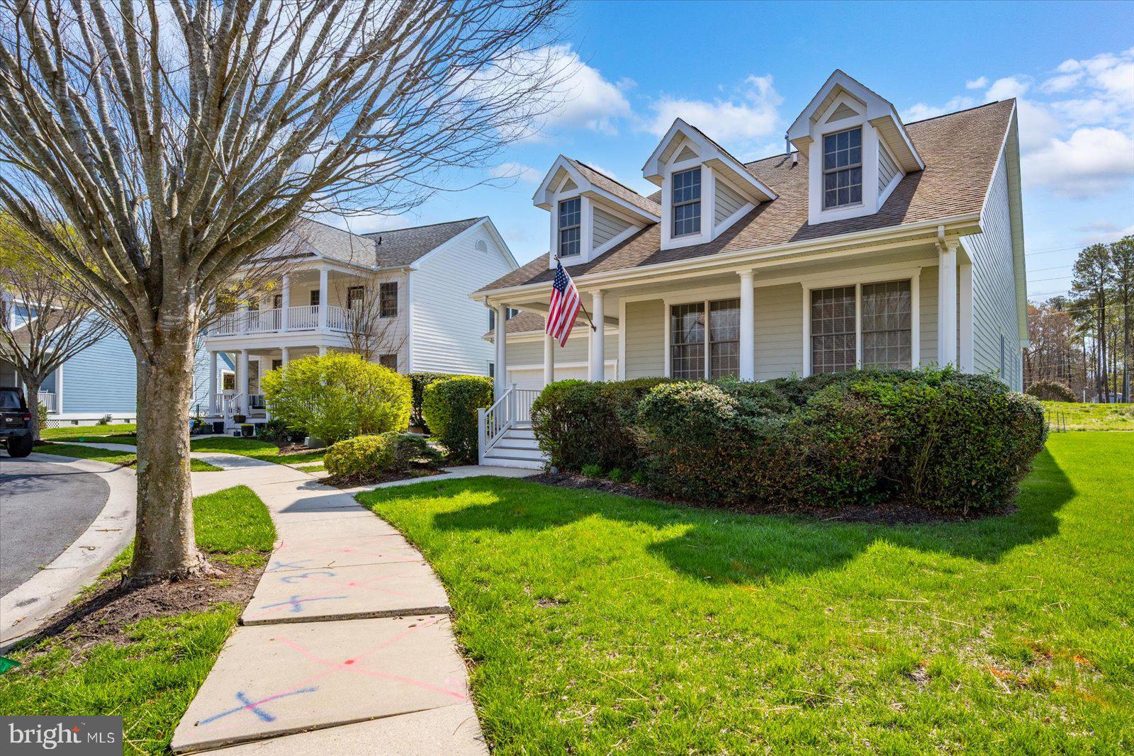 35 TULIP POPLAR TURN