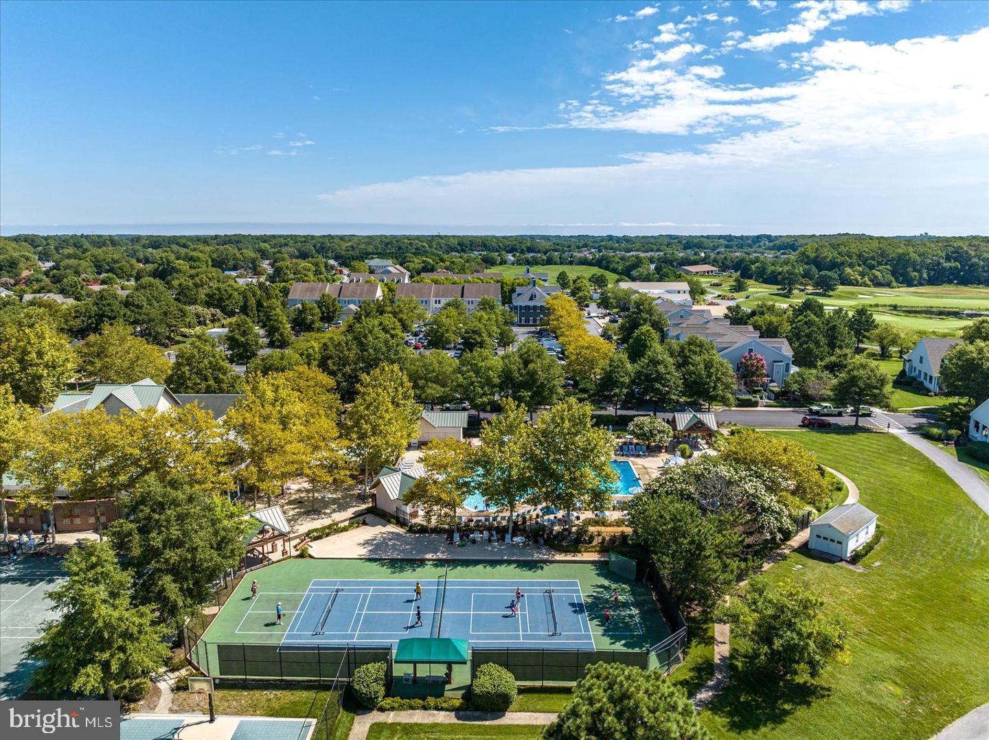 BEAR TRAP - Residential