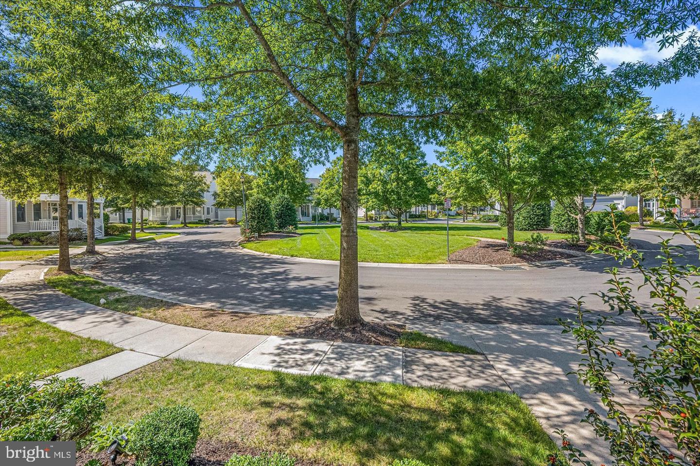 BEAR TRAP - Residential