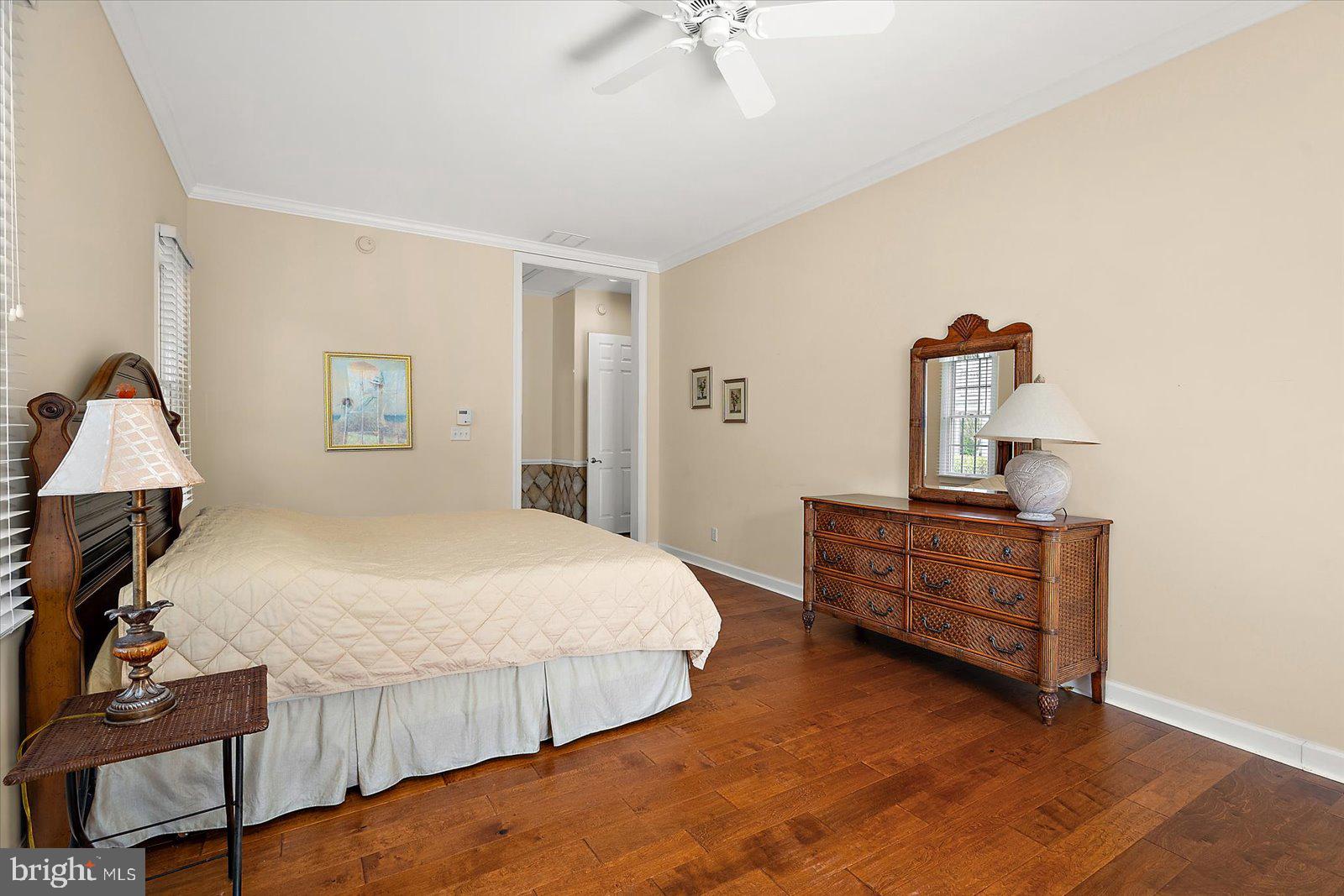 BEAR TRAP - Residential