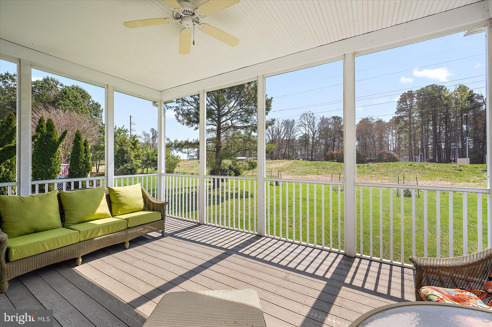 BEAR TRAP - Residential