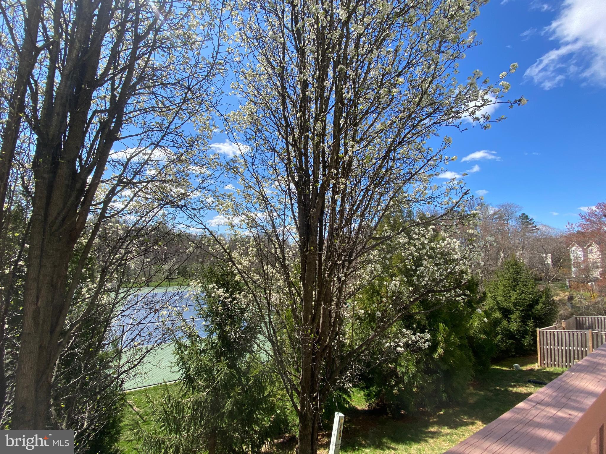 WILLOWS OF POTOMAC - Residential Lease