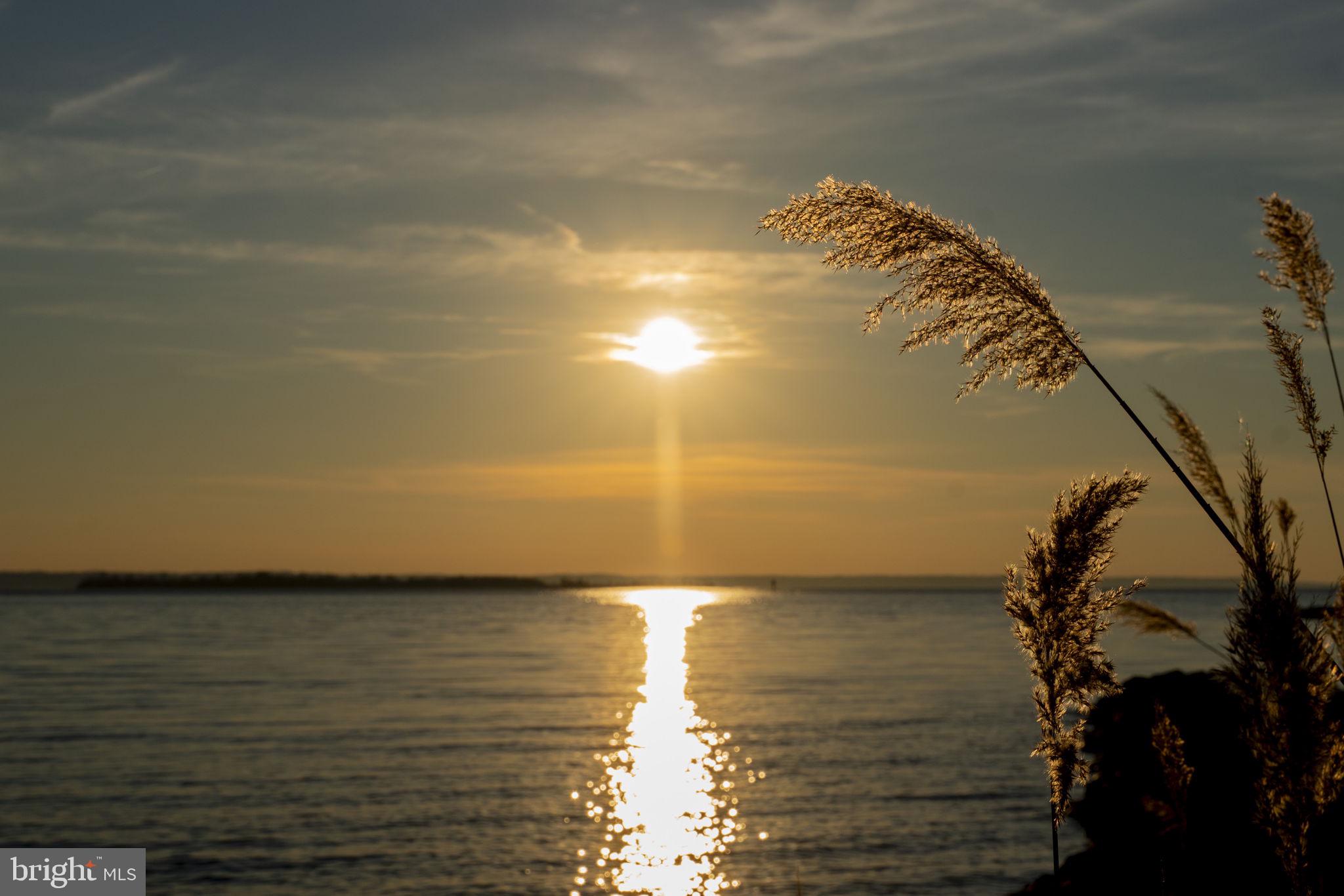 ROUSBY HALL WOODS - Residential