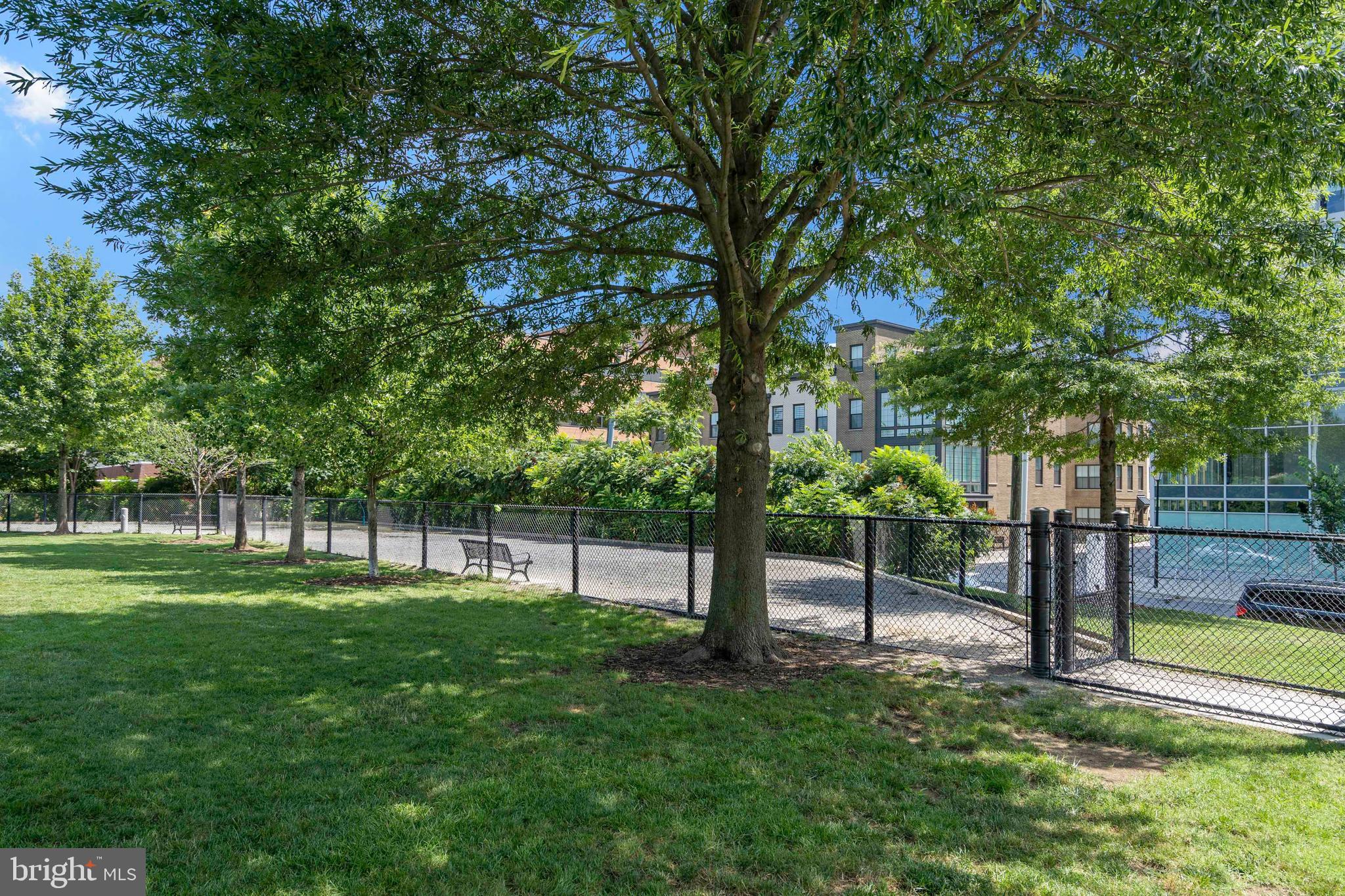 ABINGDON ROW - Residential