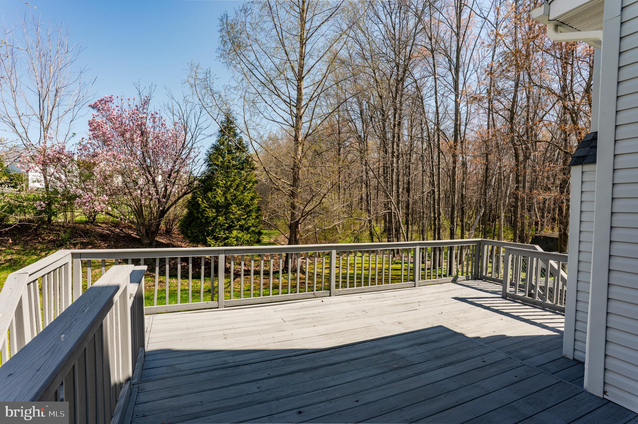 FOREST PARK - Residential