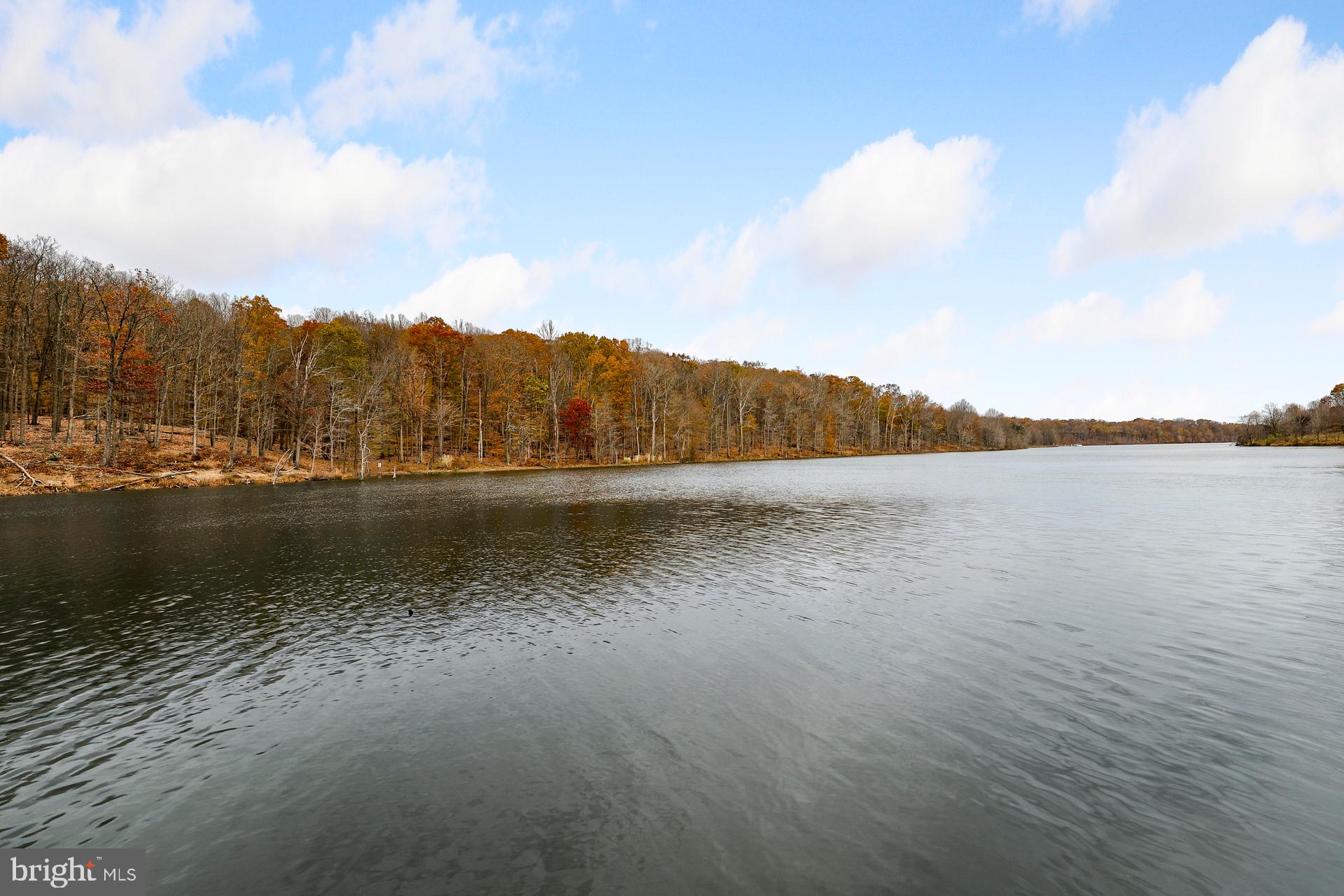 SENECA CROSSING - Residential