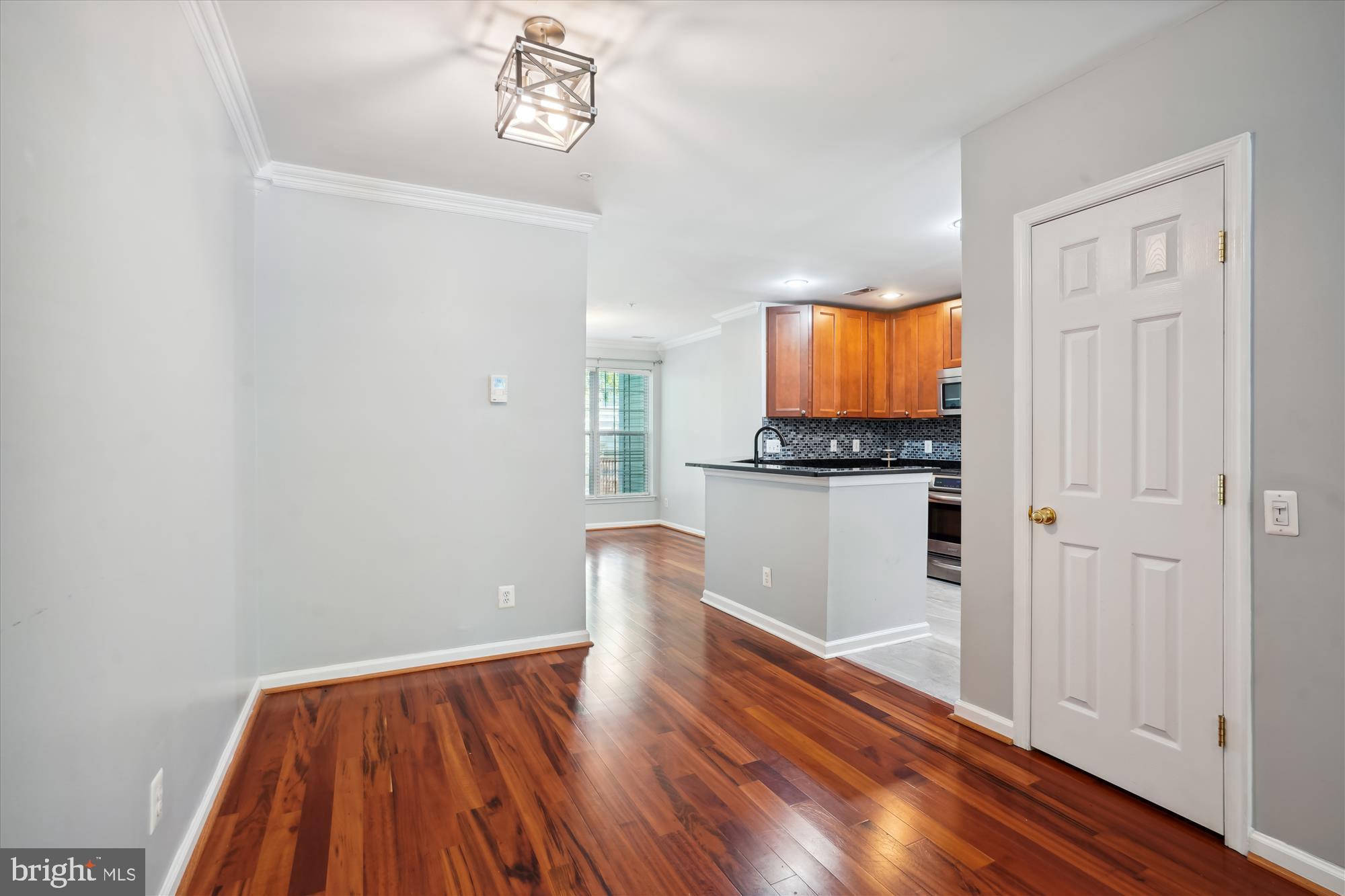 DOMINION STATION CONDOMINIUM - Residential Lease