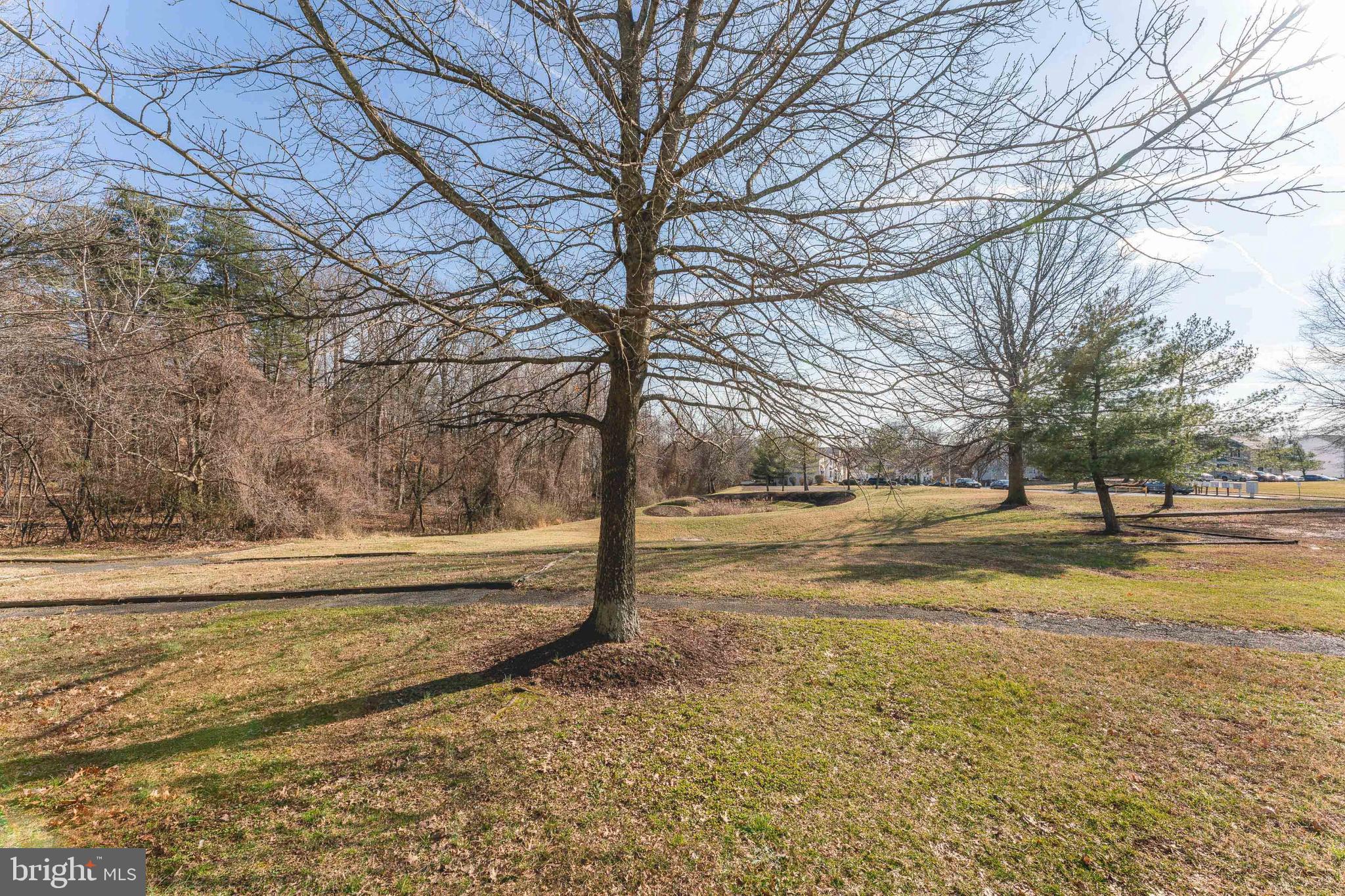 THE TOWNS AT WALKER MILL - Residential