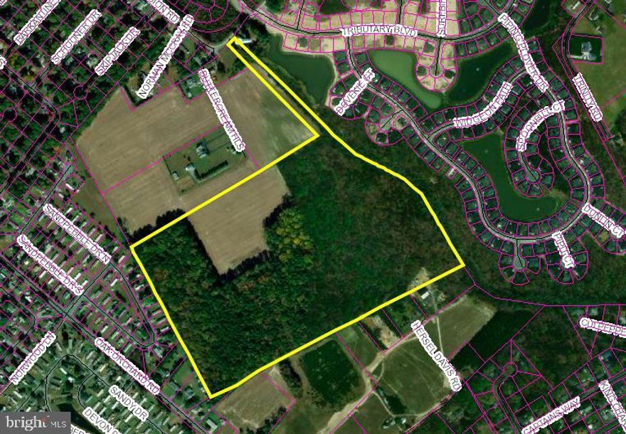 60.61 +/- acres of unimproved land, partially cleared & wooded.