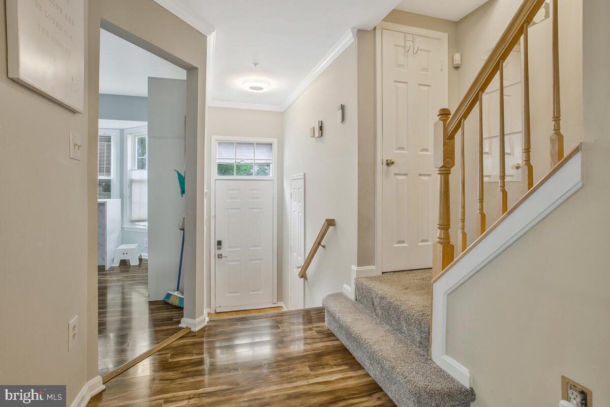 1609 SCOTCH PINE DRIVE