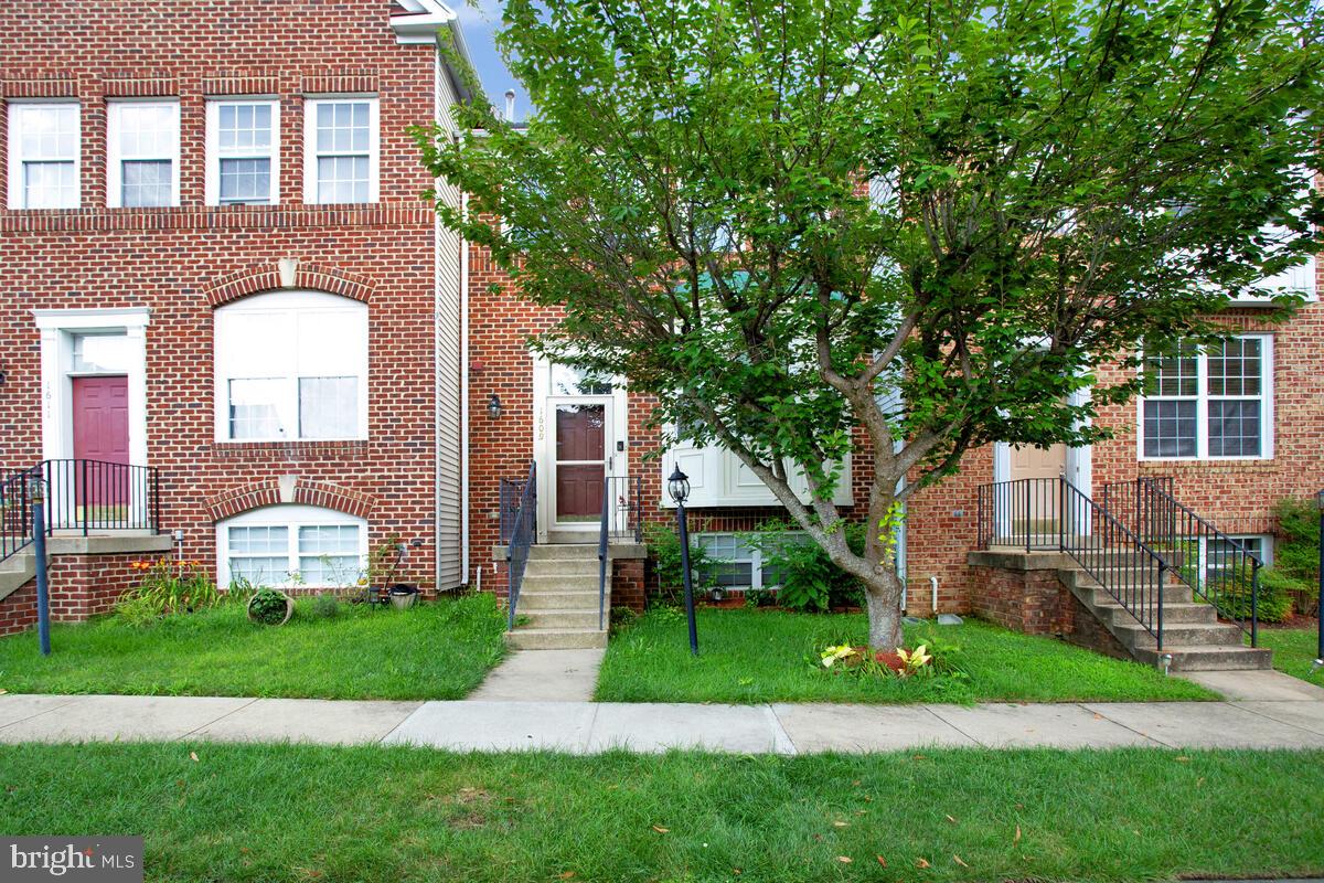 1609 SCOTCH PINE DRIVE