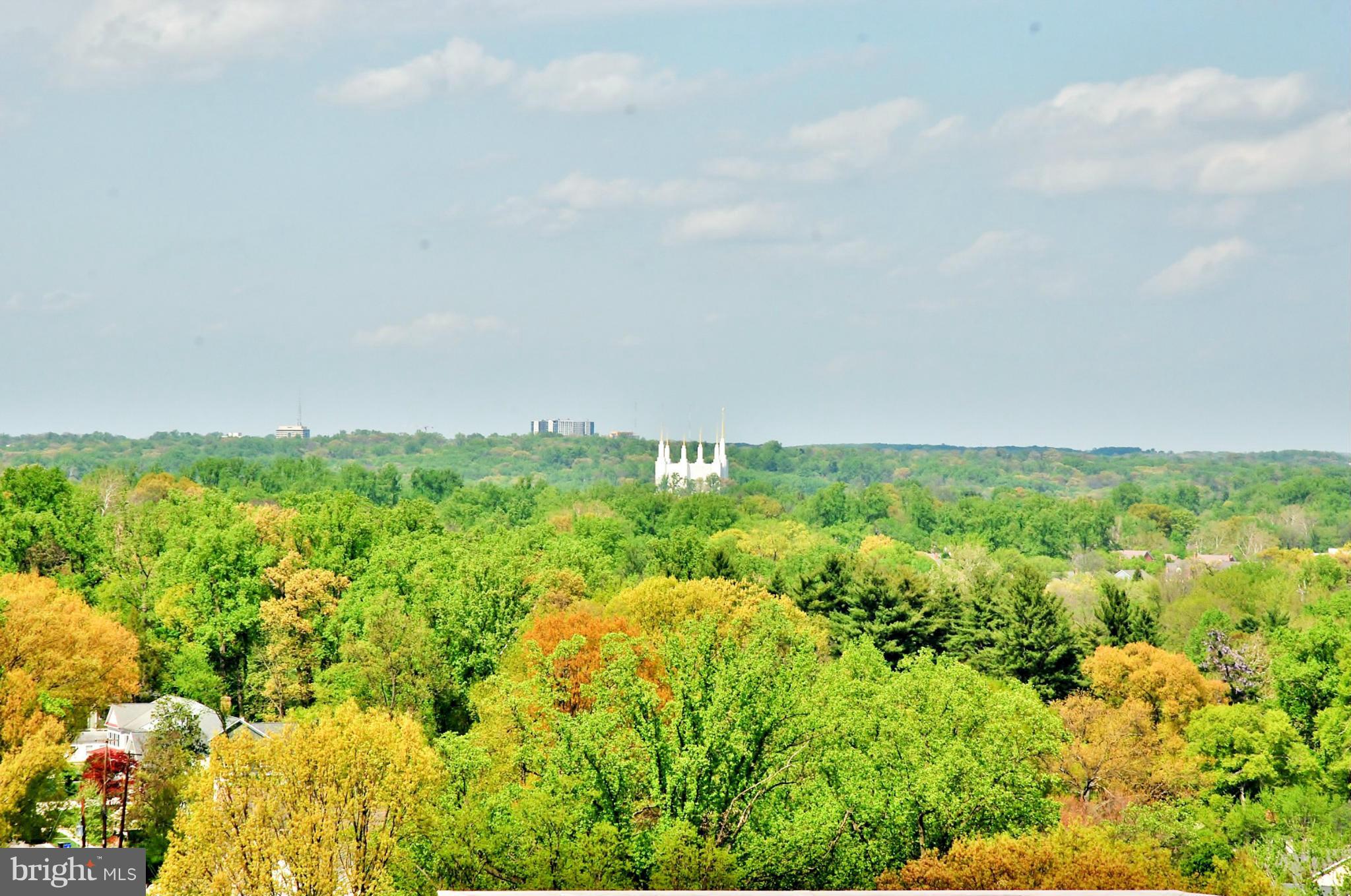RIVERIA OF CHEVY CHASE - Residential