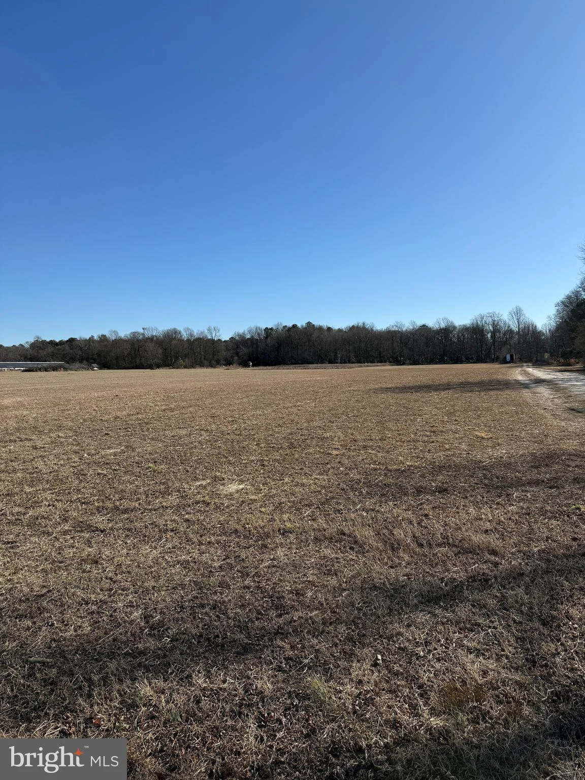 12393 Taylor Mill Road, Laurel, DE 19956