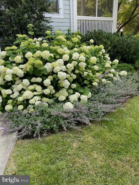 CHEVY CHASE VILLAGE - Residential