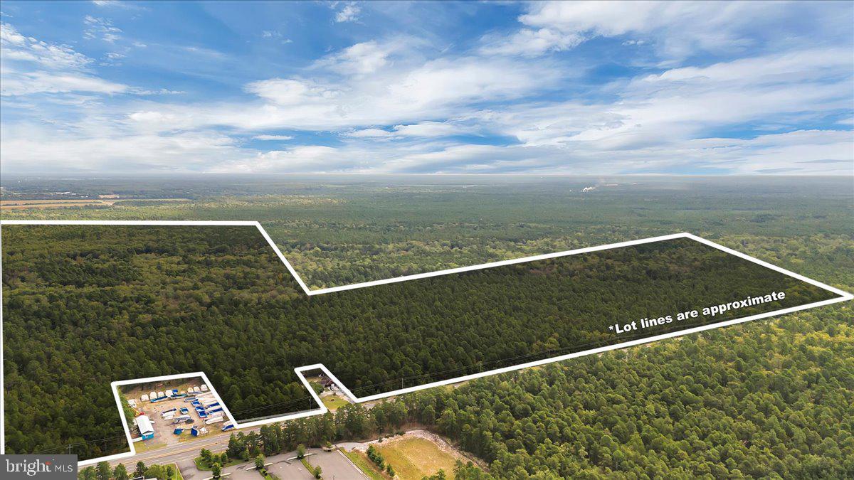 1206 BLACK HORSE PARK