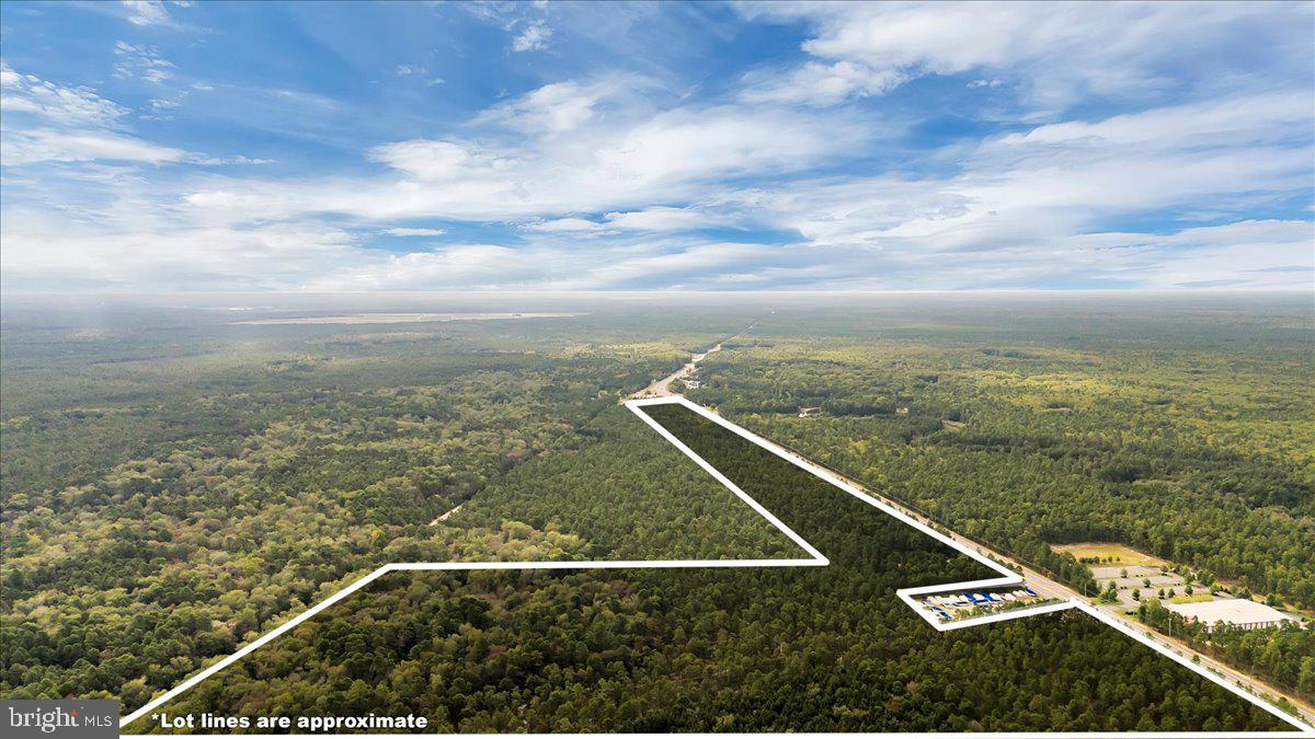 1206 BLACK HORSE PARK