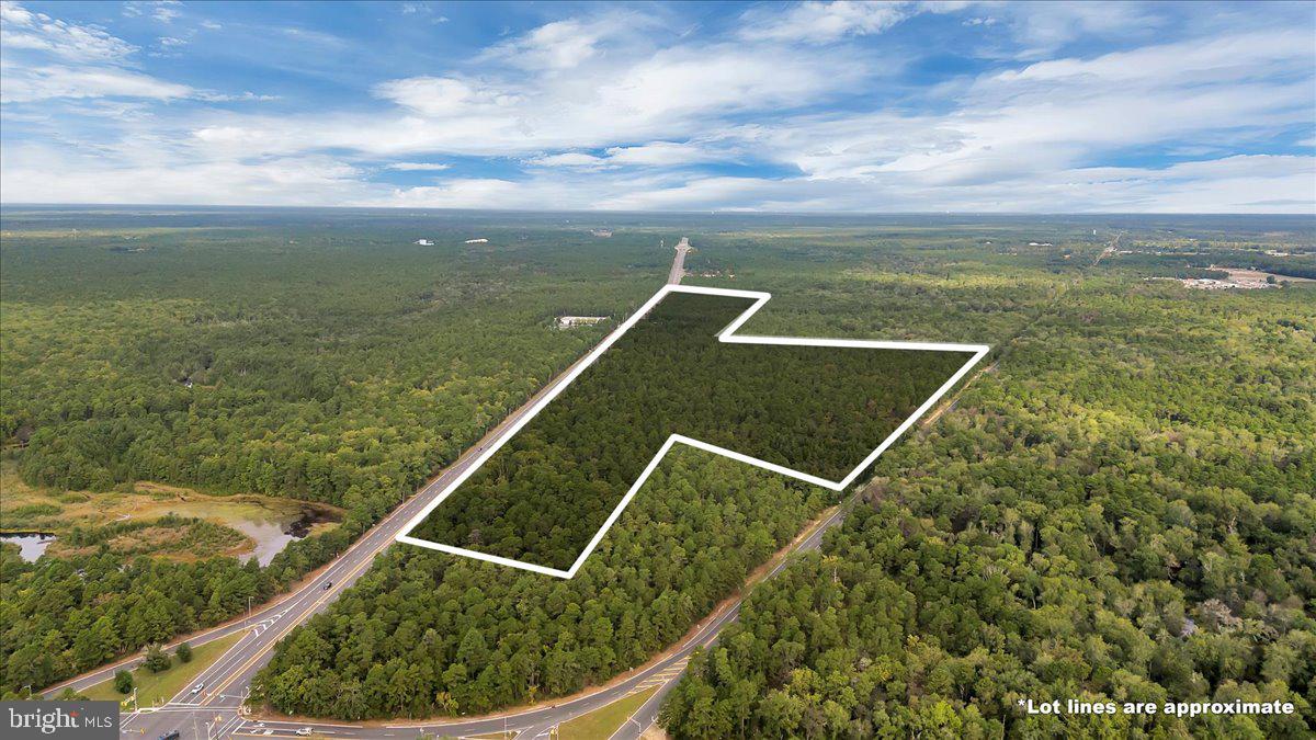 1206 BLACK HORSE PARK