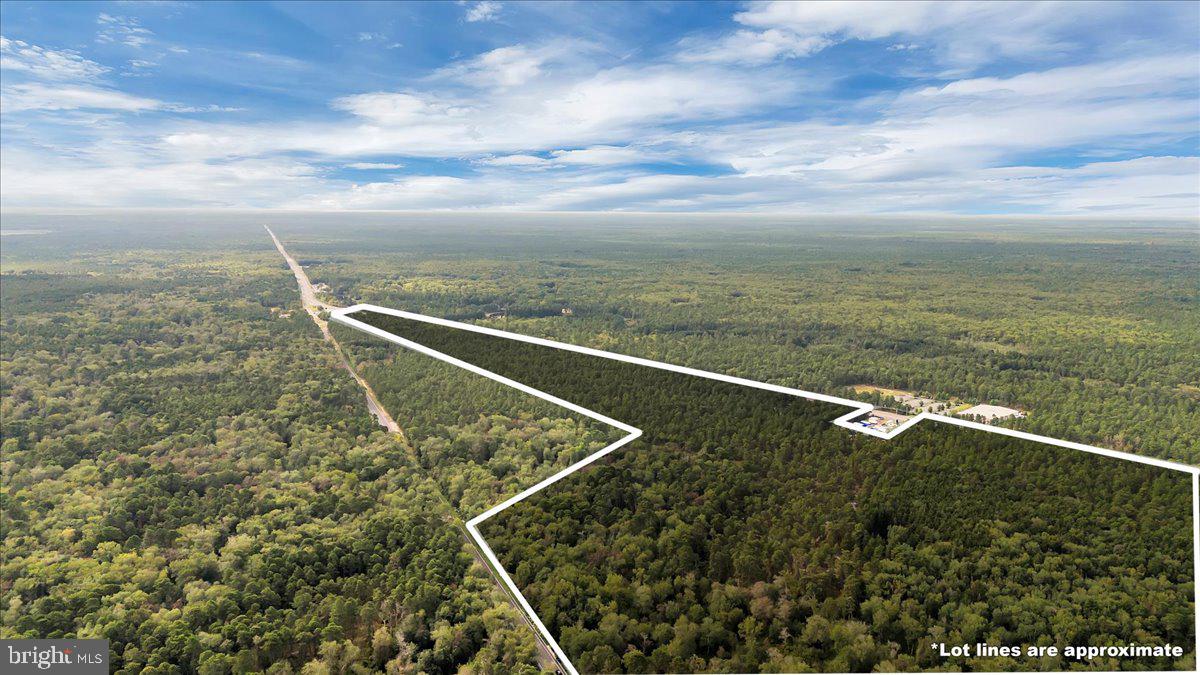 1206 BLACK HORSE PARK