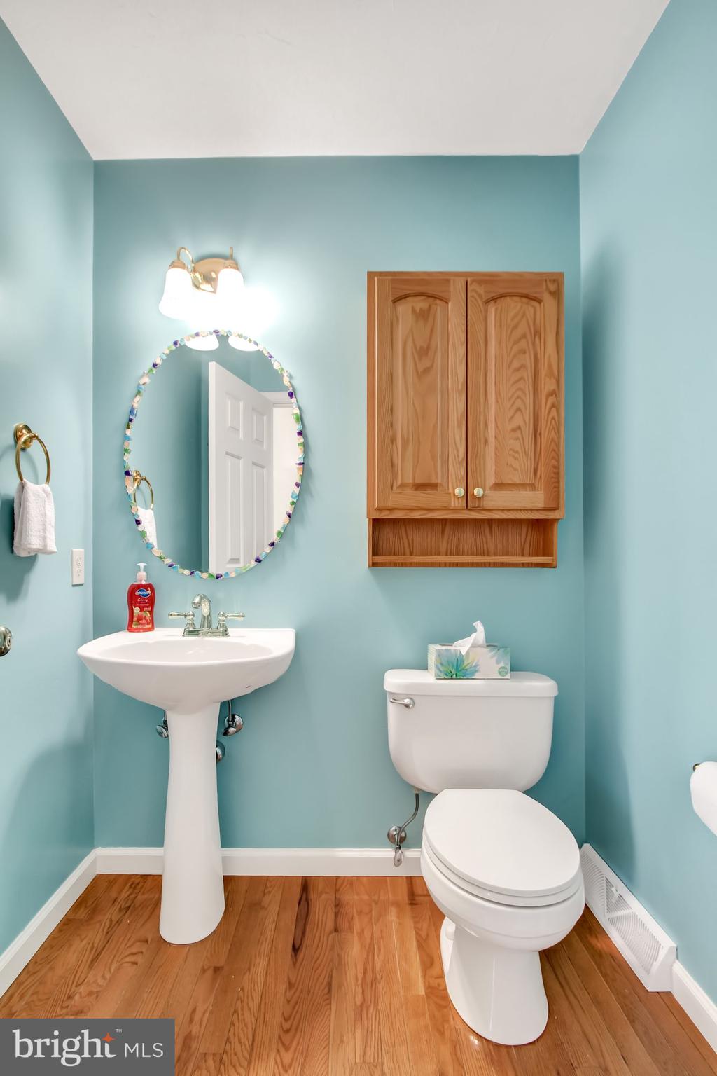 CHESTNUT RUN - Residential