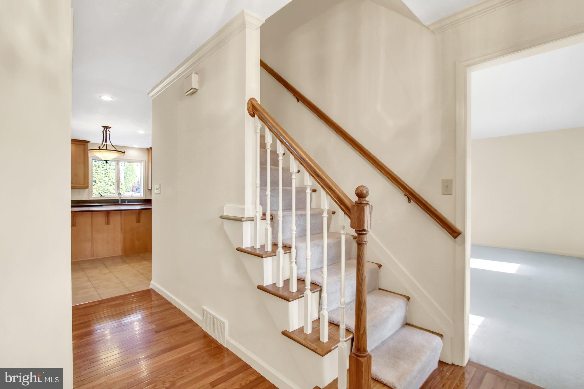 CHESTNUT RUN - Residential