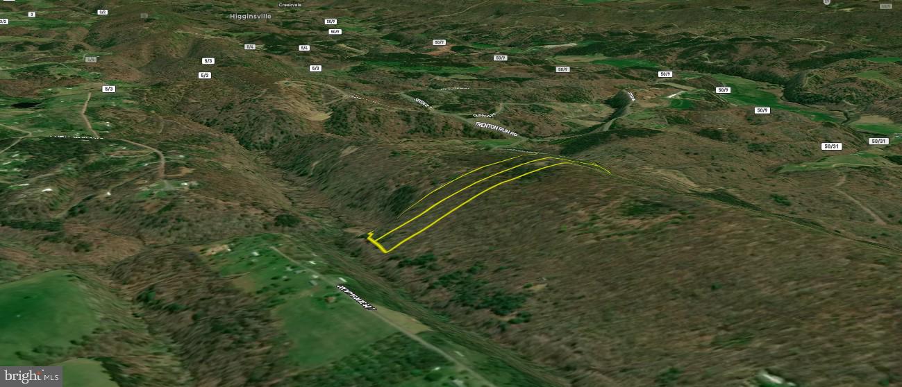 MILL MOUNTAIN ORCHARD - Land