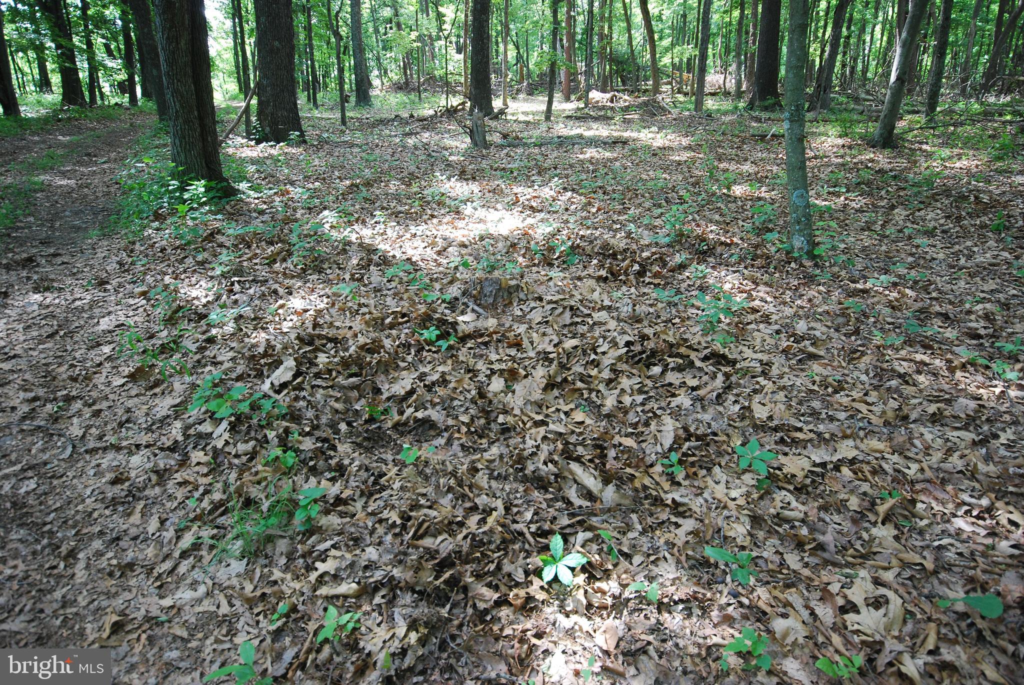 Lot 70 & 71 MILL MOUNTAIN ROAD