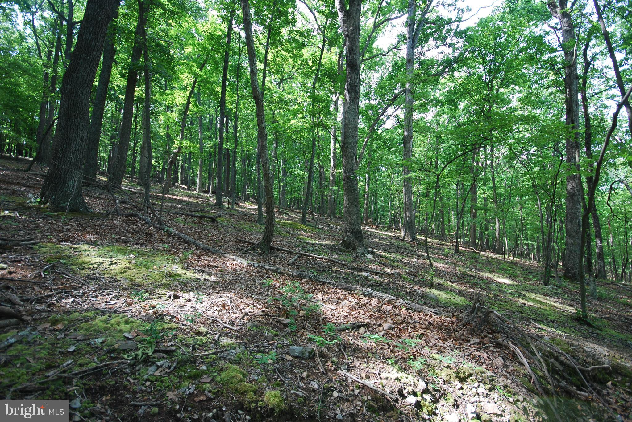Lot 70 & 71 MILL MOUNTAIN ROAD