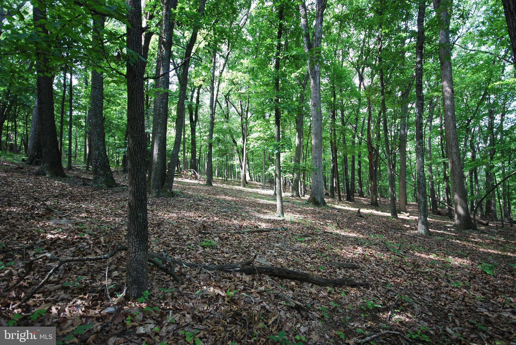 Lot 70 & 71 MILL MOUNTAIN ROAD