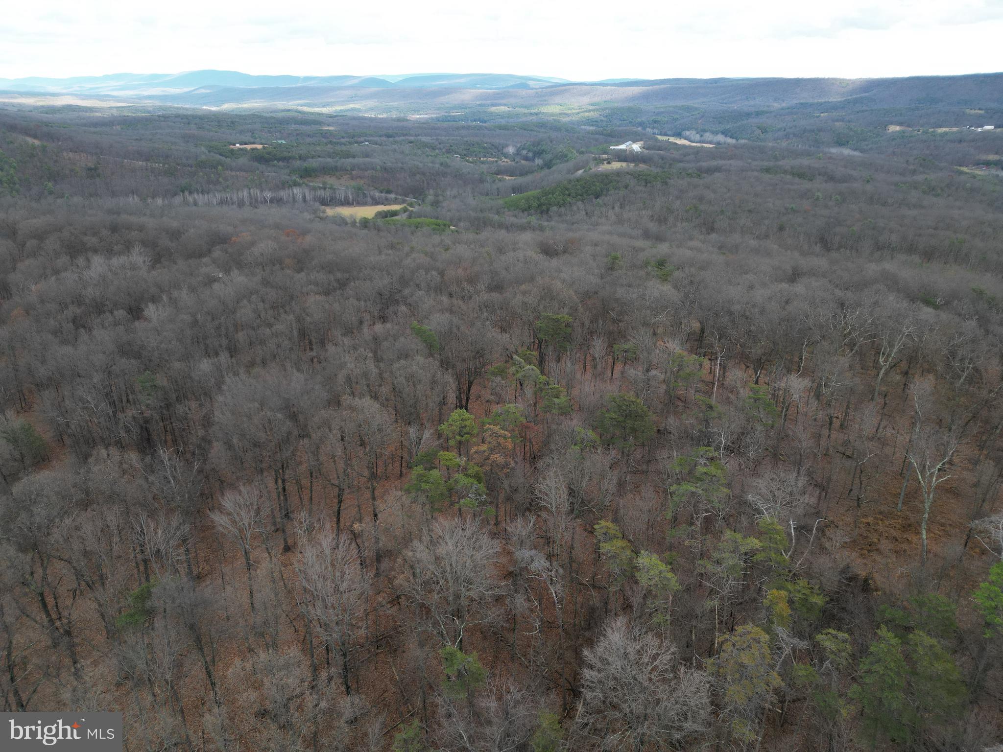 MILL MOUNTAIN ORCHARD - Land