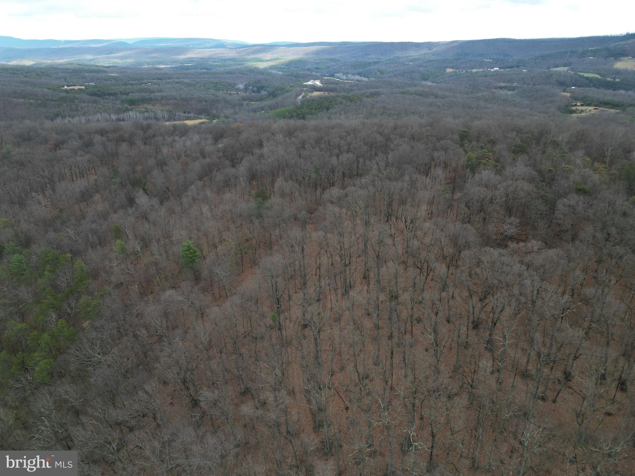 MILL MOUNTAIN ORCHARD - Land