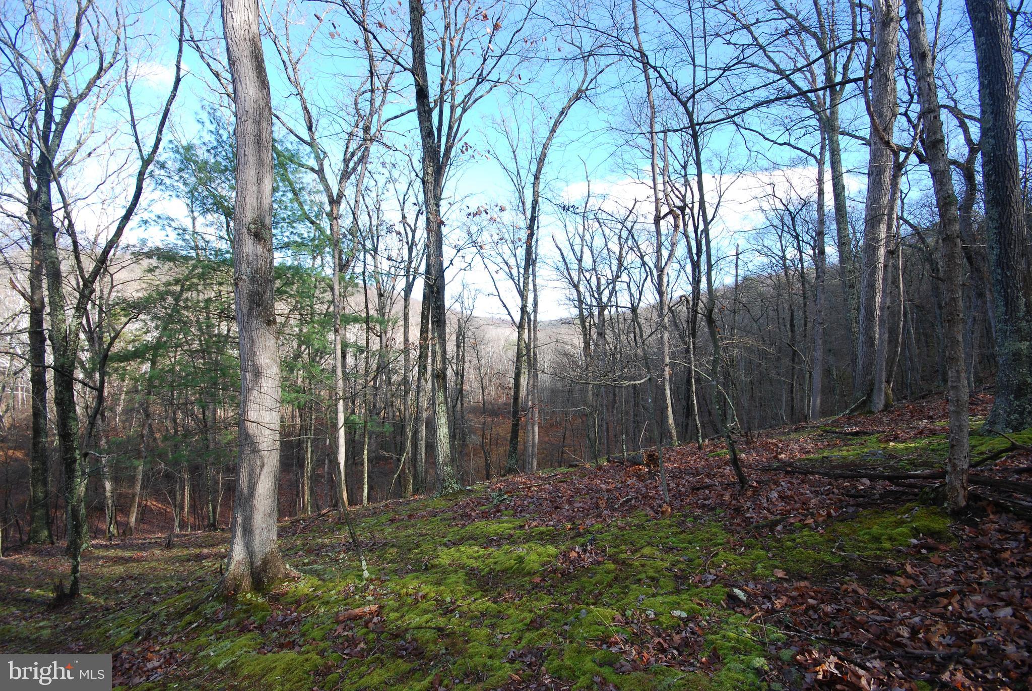 Lot 70 & 71 MILL MOUNTAIN ROAD