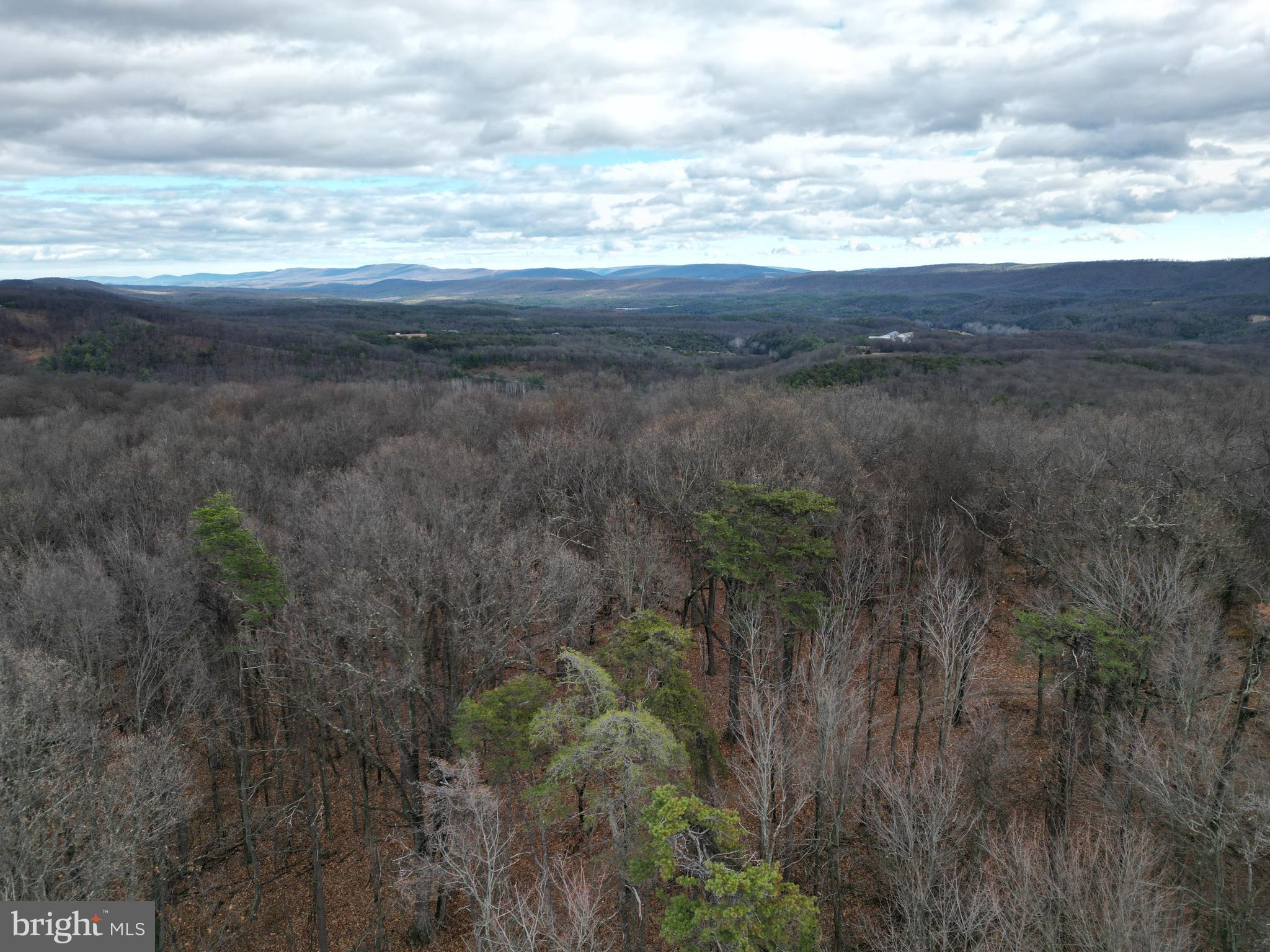 MILL MOUNTAIN ORCHARD - Land