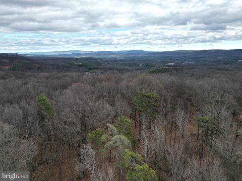 Lot 70 & 71 MILL MOUNTAIN ROAD ROMNEY WV 26757