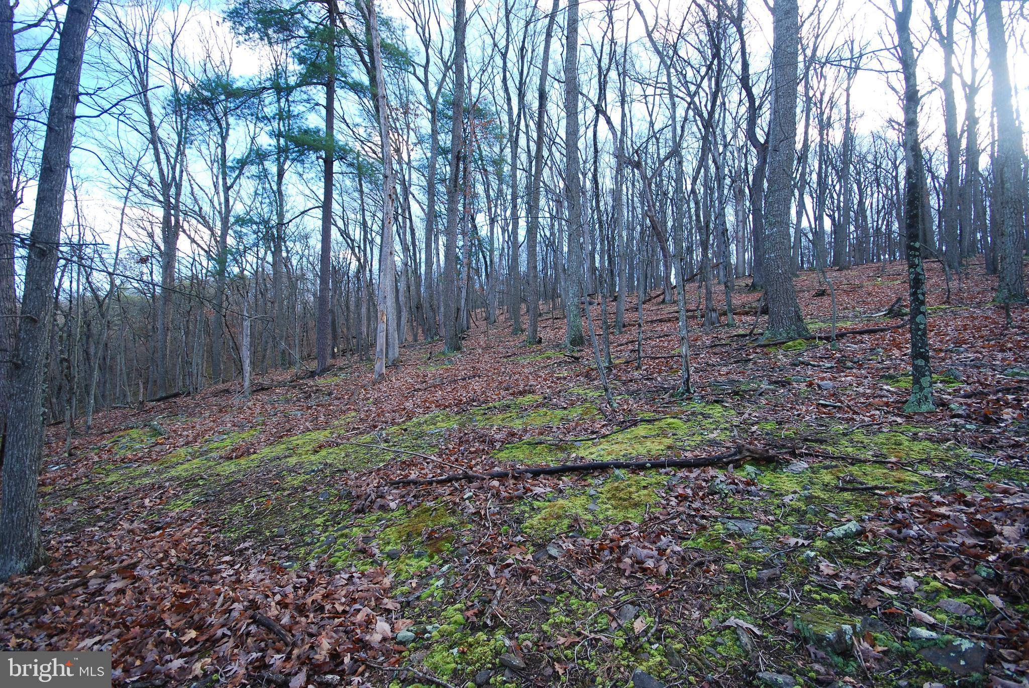Lot 70 & 71 MILL MOUNTAIN ROAD
