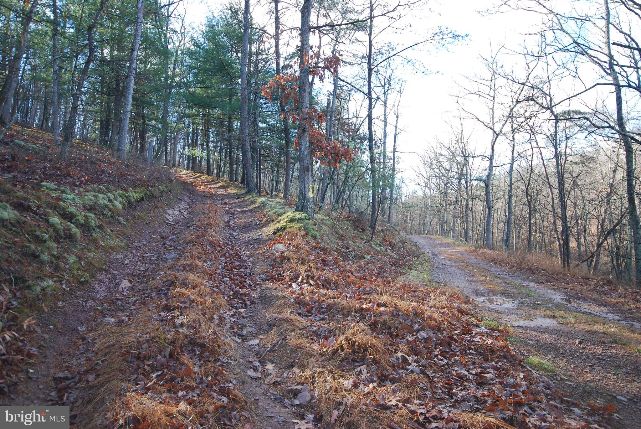 Lot 70 & 71 MILL MOUNTAIN ROAD