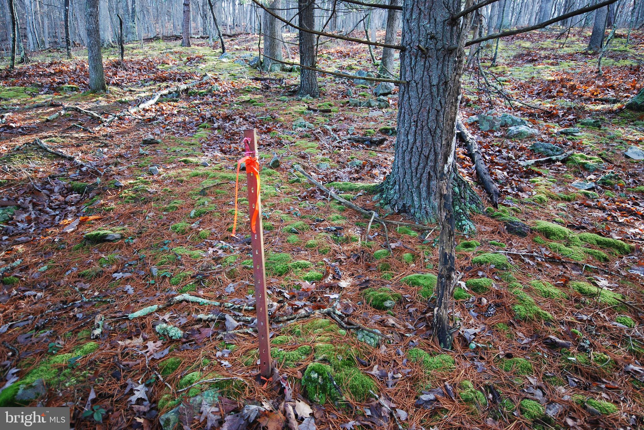 Lot 70 & 71 MILL MOUNTAIN ROAD