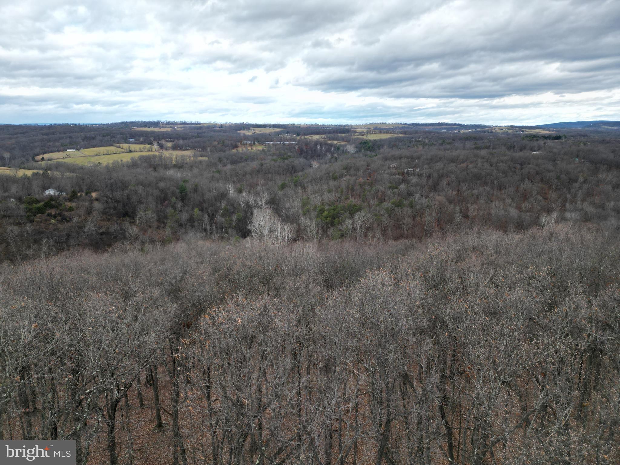 MILL MOUNTAIN ORCHARD - Land