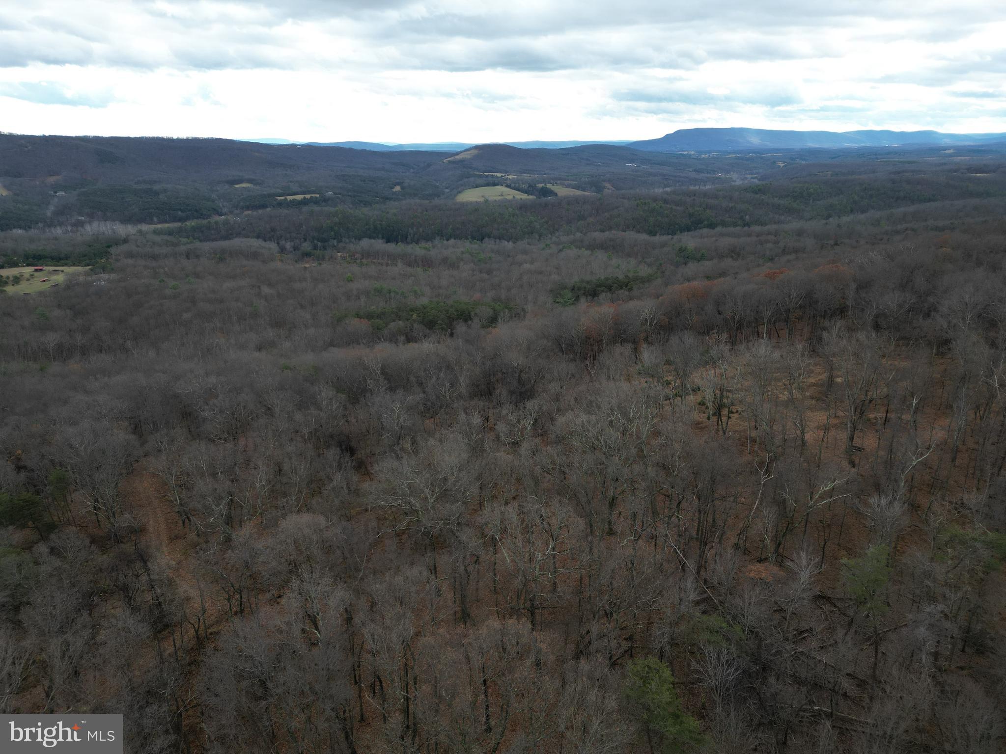 MILL MOUNTAIN ORCHARD - Land