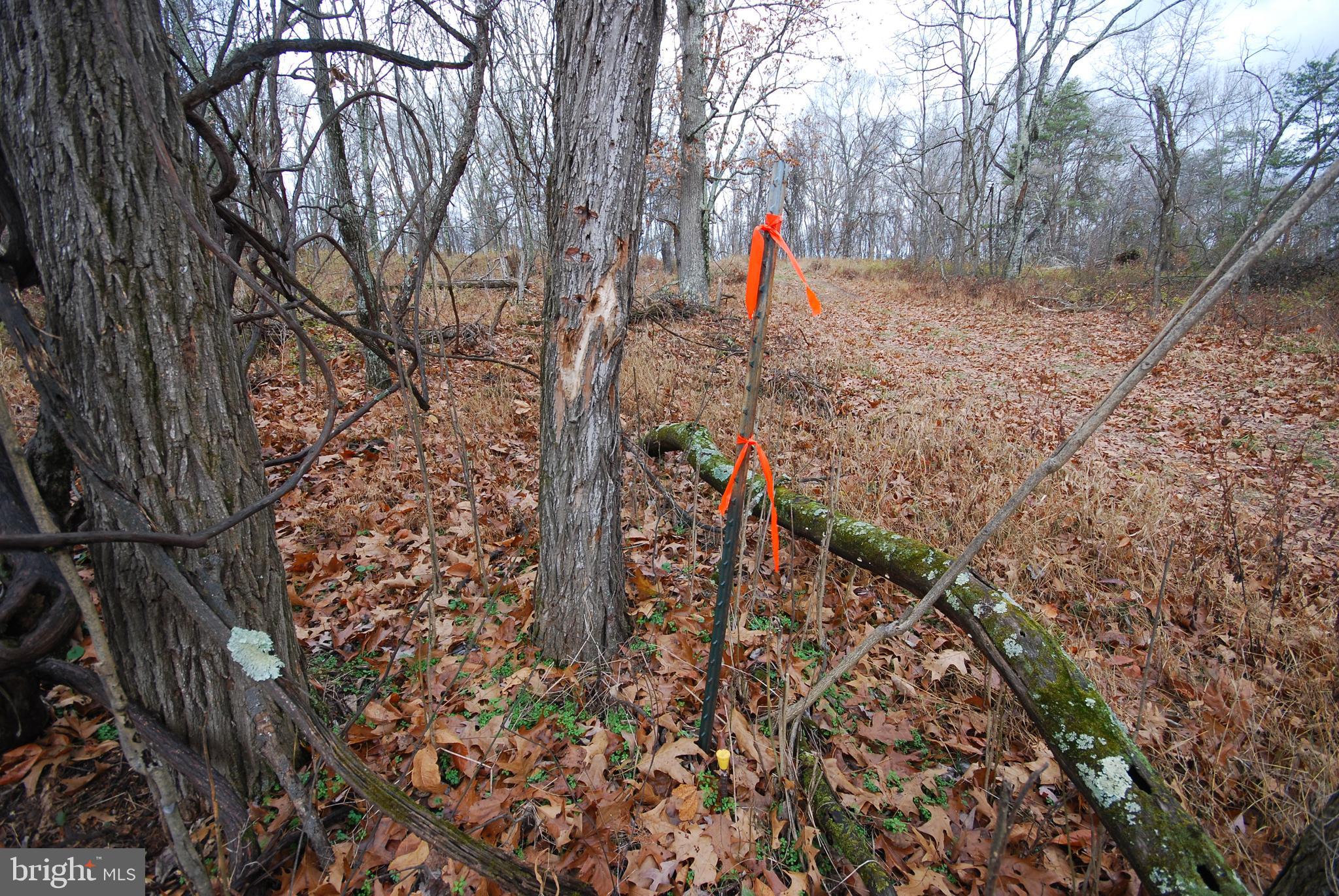 MILL MOUNTAIN ORCHARD - Land