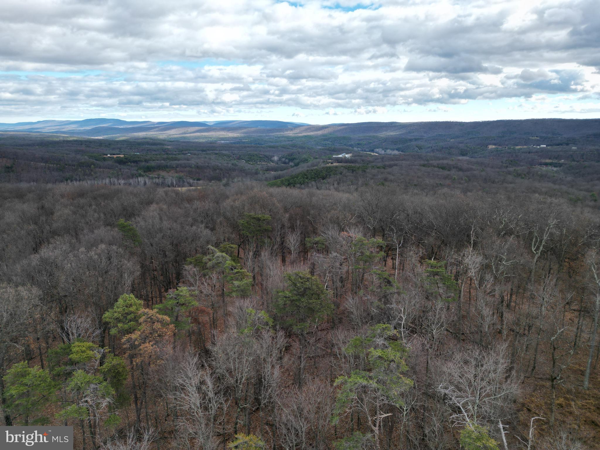 MILL MOUNTAIN ORCHARD - Land