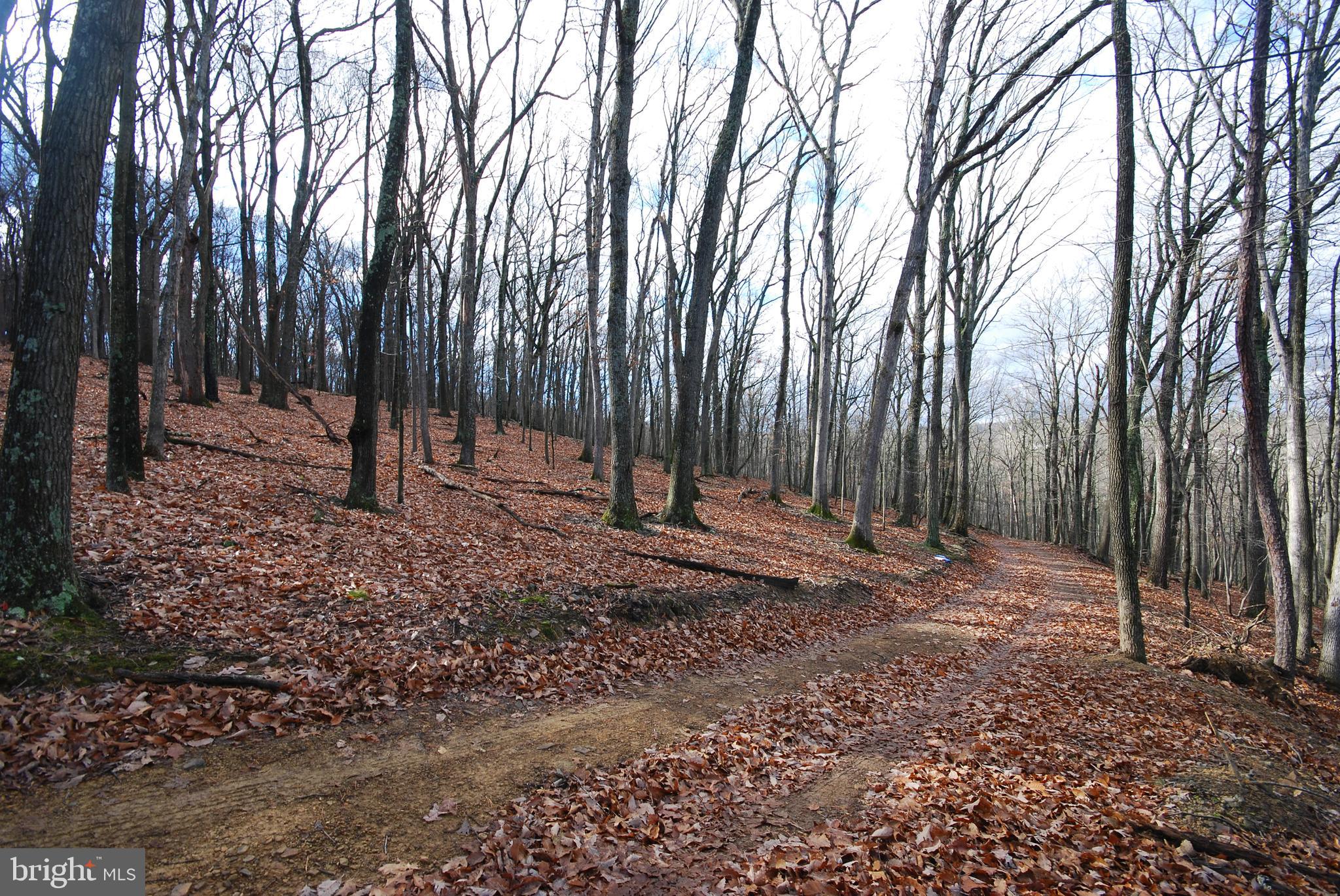 MILL MOUNTAIN ORCHARD - Land