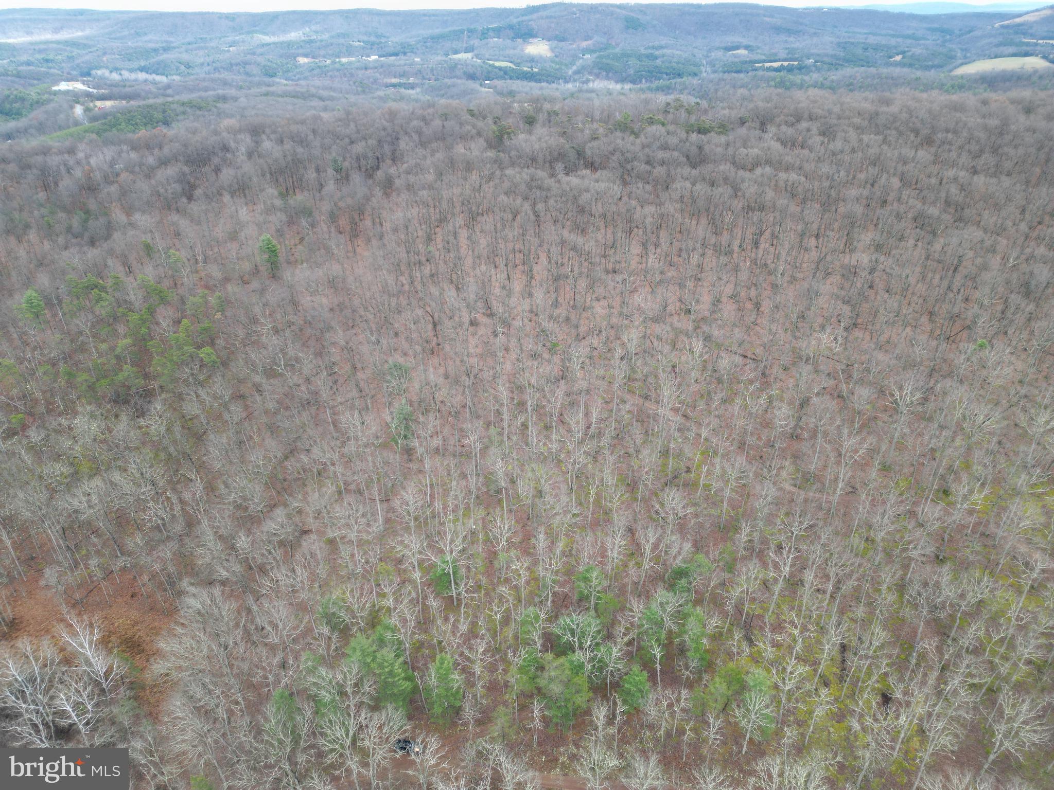 MILL MOUNTAIN ORCHARD - Land