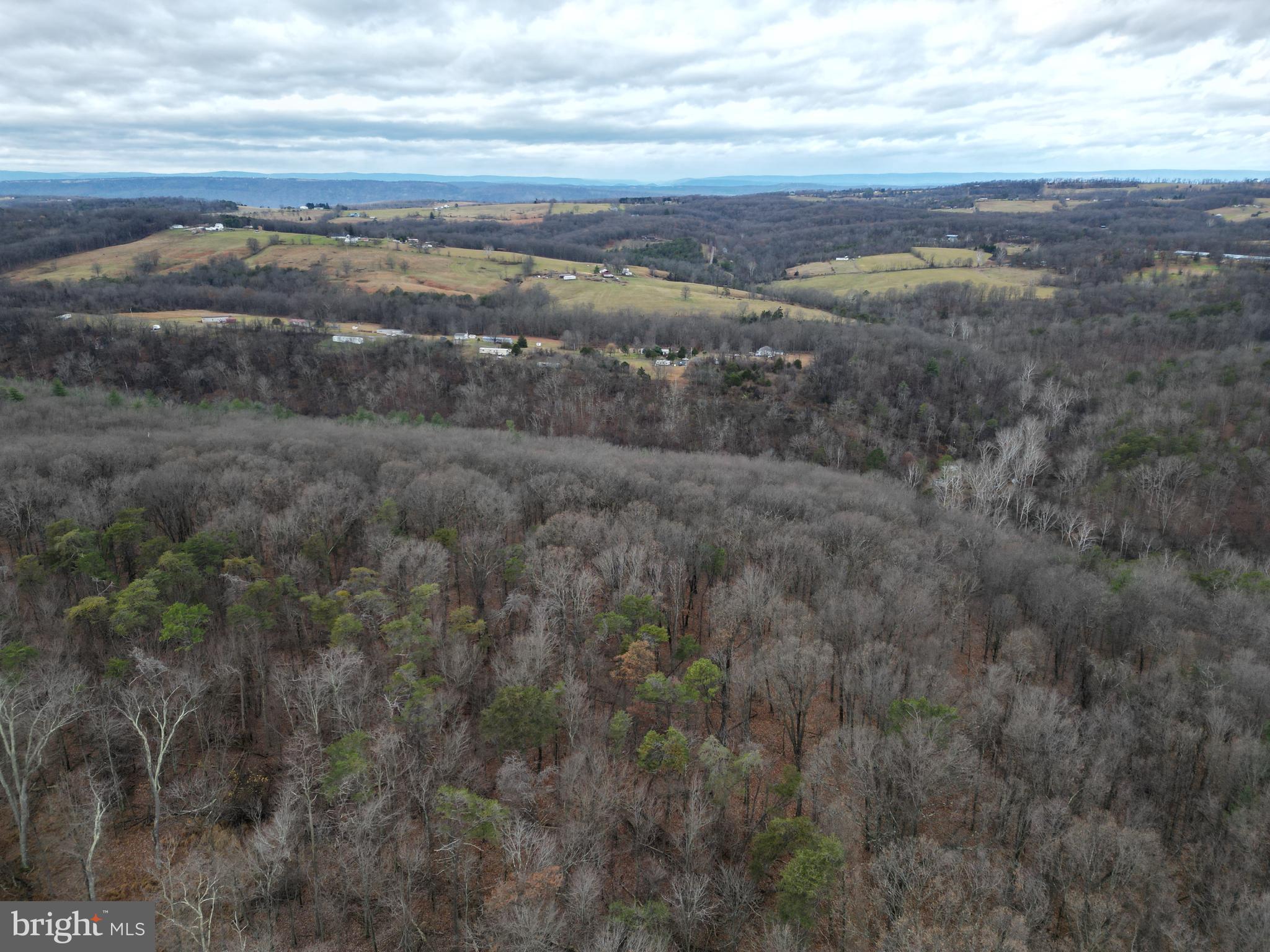 MILL MOUNTAIN ORCHARD - Land