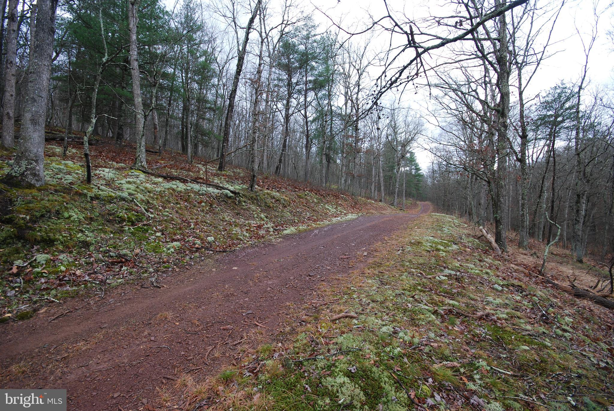 MILL MOUNTAIN ORCHARD - Land
