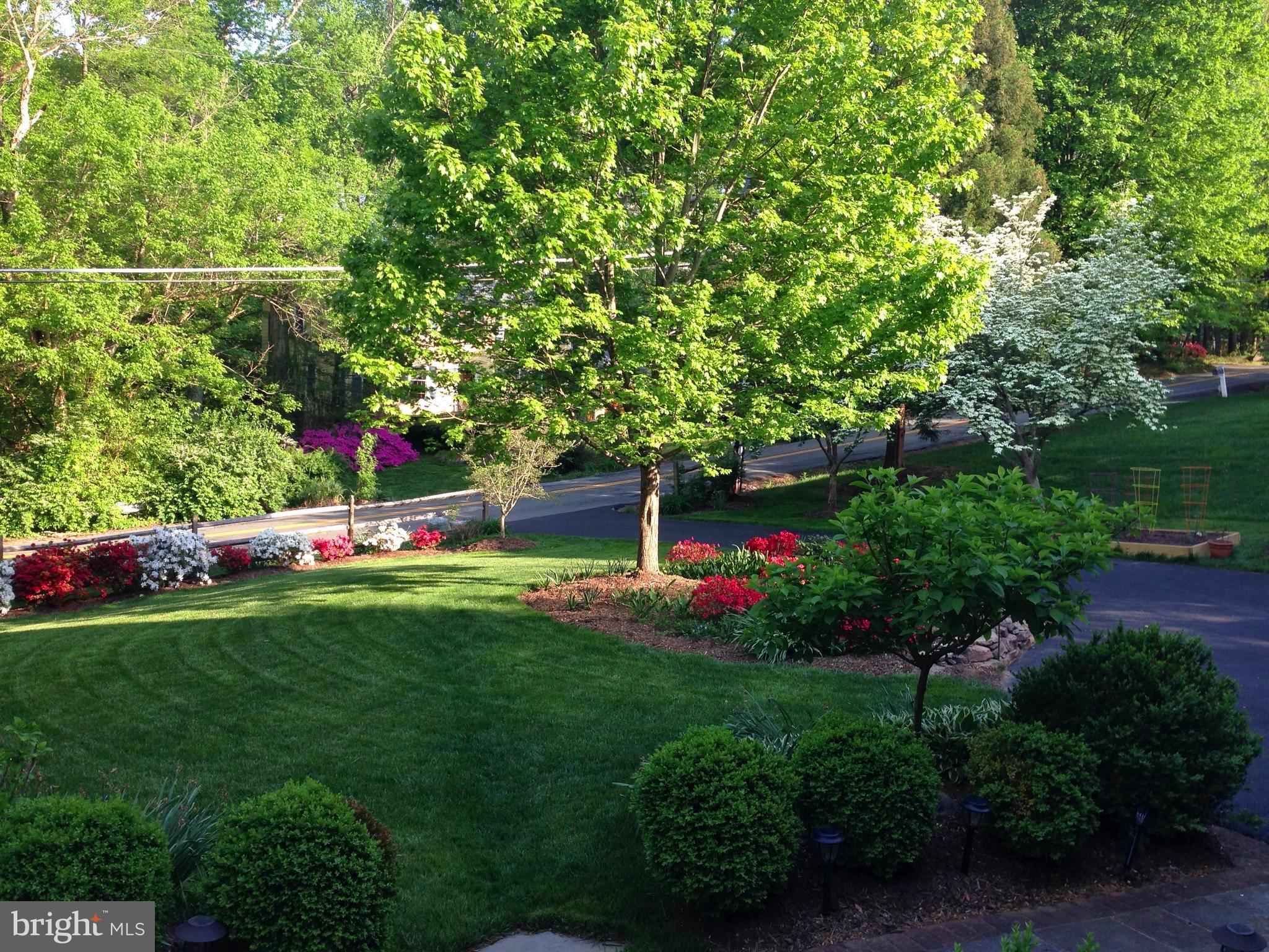 INGLESIDE - Residential