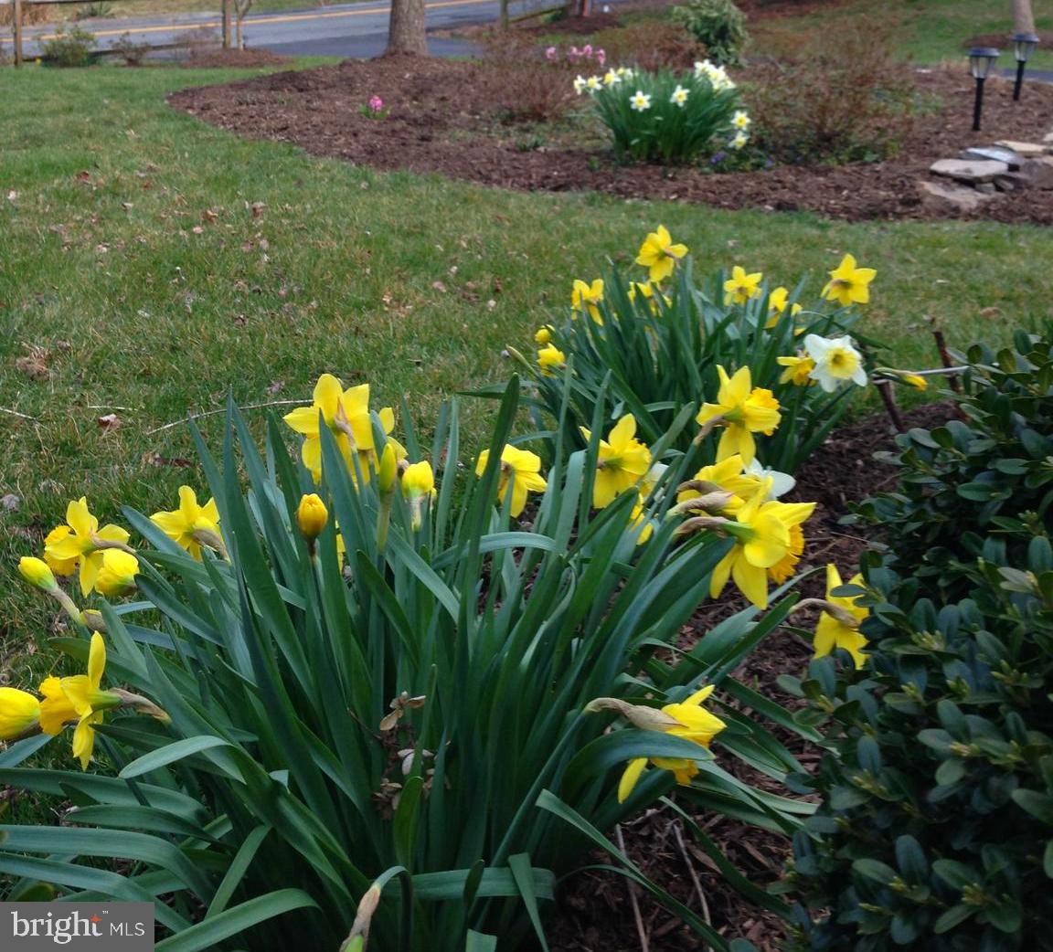 INGLESIDE - Residential