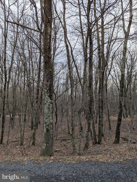 Vacant Land For Sale - Seneca Road<br/> ALBRIGHTSVILLE, PA 18210