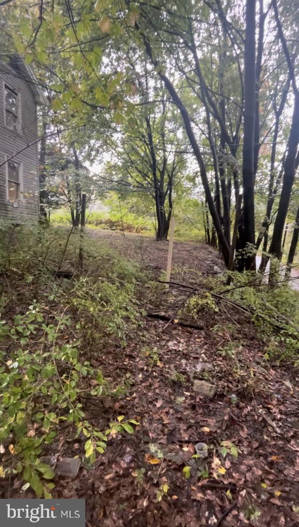 Photo of 11 Willow Street, SHENANDOAH, PA 17976 (MLS # PASK2029612)